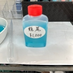 メダカの卵　1セットのみ　フリマ用に1セット準備