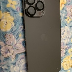 iPhone 13pro max 256G