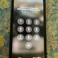 iPhone 13pro max 256G
