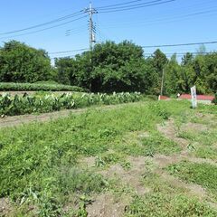 渋川上白井　★１４４坪★　お手頃価格の住宅用地♪