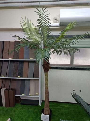⑪再値下げ【処分価格】新品 ヤシの木(220cm) 人工観葉植物 フェイクグリーン インテリア　高品質