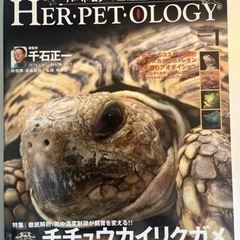 ハペトロジー vol.1 HERPETOLOGY 2003 爬虫...