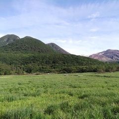 岡山県内総社市高梁市近辺で草刈り、リフォーム空き家の管理、…