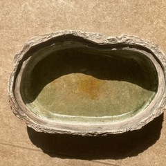 陶器　メダカ 鉢