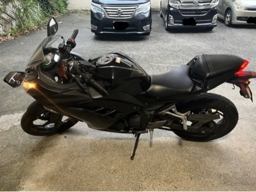 ニンジャ250