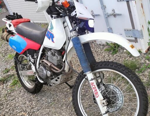 【動画あり】XLR250r MD22 自賠責R7年8月まで