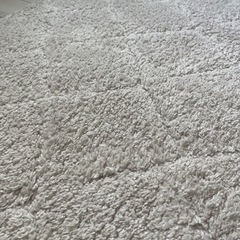 ベルギー製品　FARA　シャギーラグ　カーペット