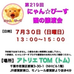 7月30日(日)🌸にゃん☆ぴーす猫の譲渡会🌸「アトリエTOM」J...