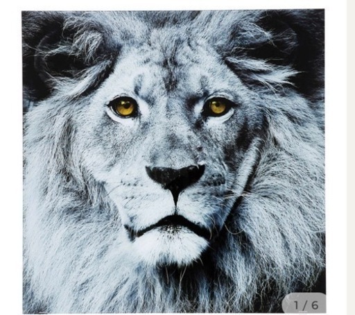 【廃番】Picture Glass Face Lion 80x80cm 新品未使用