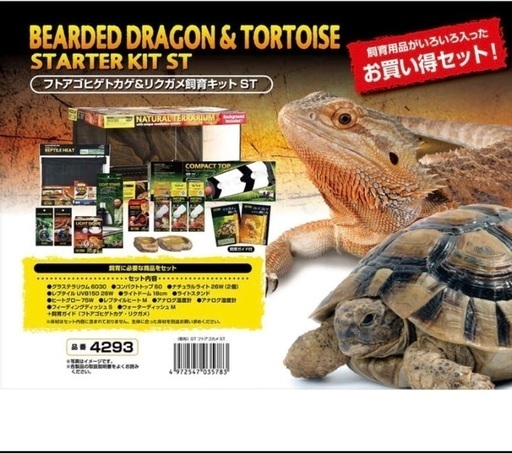 リクガメ、フトアゴ飼育セット