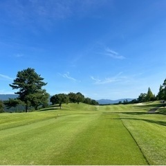 ☆平日⛳️ゴルフご一緒しませんか？