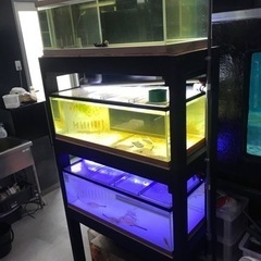 お譲り先決定‼️大型水槽 水槽機材 1200水槽 奥行900