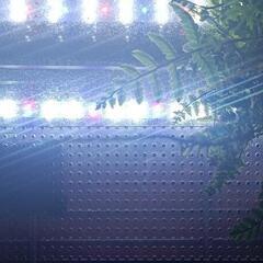 イモリウム､自作ケージ、自作水槽