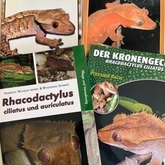 クレステットゲッコー洋書　4冊　クレス　爬虫類　レオパ　レプタイル