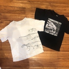 黒のみ！恐竜Tシャツ120