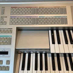 YAMAHA STEGEA ELS-01 2009年度製