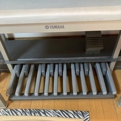 YAMAHA STEGEA ELS-01 2009年度製