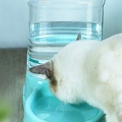 ペット用　犬　猫　給水器　お譲りします