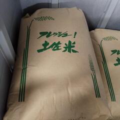 【お取引中】土佐市産　コシヒカリ　玄米　30kg×2袋　R4年度　②