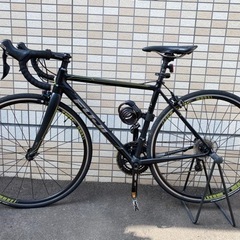 No.501 ルイガノ05 Lgs-dw2整備済み