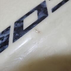  COLEサーフボード 