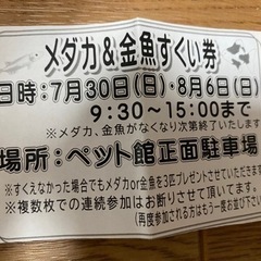 　　金魚　メダカすくい　券　