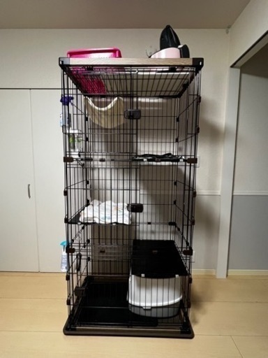 猫ゲージ
