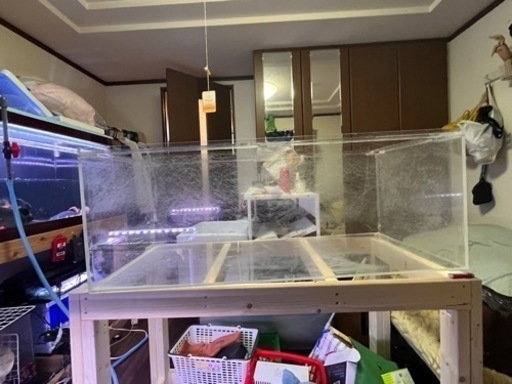 1200.600.450オールクリアアクリル水槽、水槽台セット - その他 