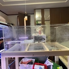 1200.600.450オールクリアアクリル水槽、水槽台セット