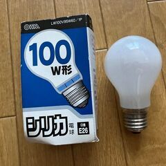 【1円】電球