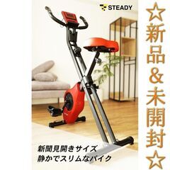 〚新品&未開封〛STEADY フィットネスバイク ST-102 レッド