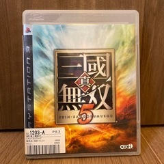 真 三國無双 5