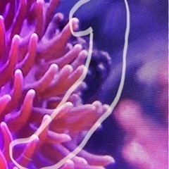 Panasonicテレビ 50インチ(傷あり)