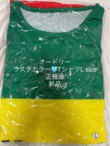 【今週8,000円】【本日届きたて】【新品】『オードリーラスタカラーTシャツL size』