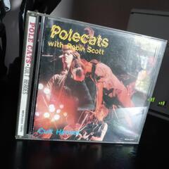 🎼🎼🎼Polecats 12曲🎼🎼🎼