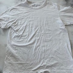 白Tシャツ / GU