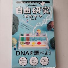 自由研究キット　DNAを調べよう