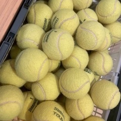 [無料]練習用硬式テニスボール(100個程度)