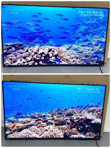 【1週間限定出品！】東芝 TOSHIBA 50型 液晶テレビ 50C350X 2021年製 ねじ欠 / D【nz1341】