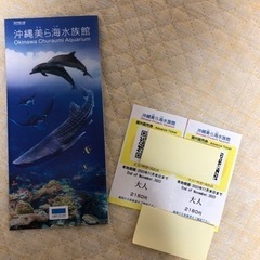 【ネット決済・配送可】美ら海水族館　入場券　２枚ペア