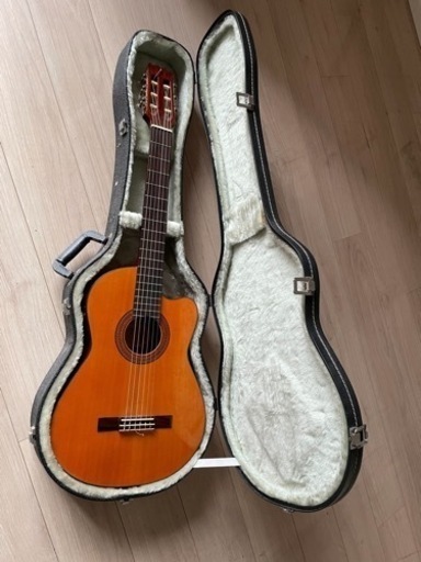 (取引中)ARIA Elecord CE60 \u0026 POLYTONE Mini Brute II