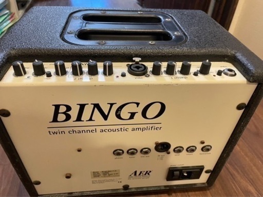 AER Bingo 2 アコースティックギターアンプ - 楽器、器材