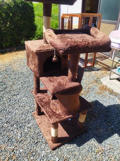 キャットタワー 中古