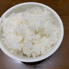 令和5年度産新米　減農薬のお米『コシヒカリ』　玄米　30kg   米