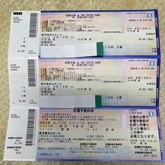 佐野元春　ライブチケット　2023/8/19 18:00