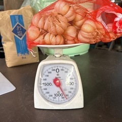 中玉にんにく800g