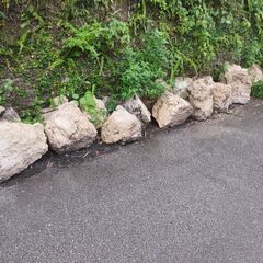 琉球石灰岩　無料です。