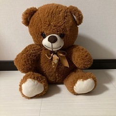 🐻 ぬいぐるみ