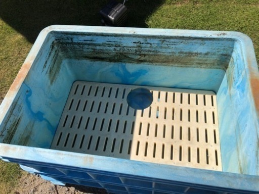 ダイライト 大きい タライ プール