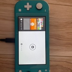 ニンテンドースイッチ ライト　充電器あり　SDカードなし　初期化済み ニンテンドースイッチ ライト 充電器あり SDカードなし 初期化済み